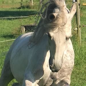 Meet your Posher, Kathy